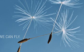 MAGIC CARPET SOARING IN THE BLUE SKY —— FLYING CARPETS FROM DÜREN